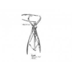 Intestines, Stomach, Rectum